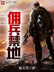 佣兵禁地封面