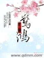 民国惊鸿封面
