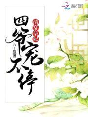 清穿皇妃：四爷，宠不停封面