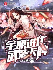 全职进化武装卡牌封面