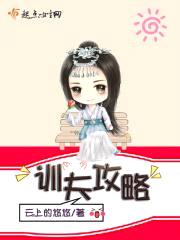 训夫攻略封面