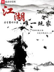 江湖唯一玩家封面