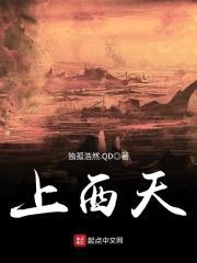 上西天封面