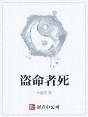 盗命者死封面