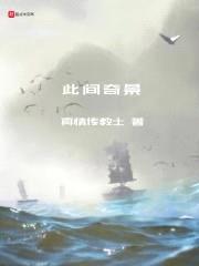此间奇景封面