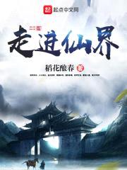 走进仙界封面