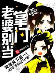 老婆别当掌门封面