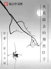 我在国企的那些日子封面