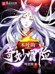 木叶的奇妙冒险封面