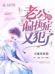 独占成瘾：偏执老公，请克制！封面