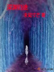 深渊归途封面