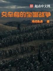 艾辛格的全面战争封面