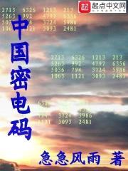 中国密电码封面