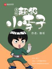 木叶超级小李子封面