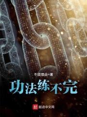 功法练不完封面