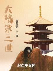 大隋第三世封面