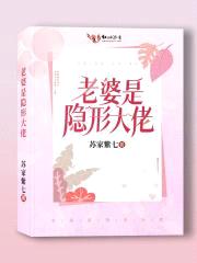 老婆是隐形大佬封面