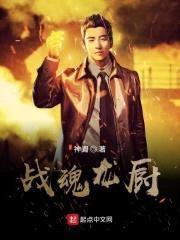 战魂龙厨封面