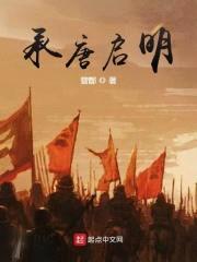 大唐之后是大明封面