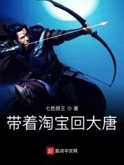 带着淘宝回大唐封面