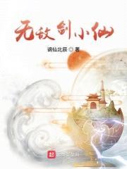 无敌剑小仙封面