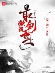 在下刘平安封面