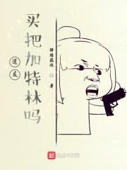 道友，买把加特林吗？封面