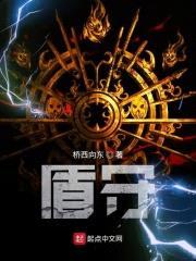 盾守星空封面
