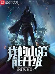 我的小弟能升级封面