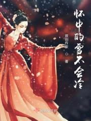 怀中的雪不会冷封面