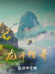 龙泽传记封面