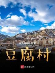豆腐村封面