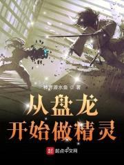 从盘龙开始做精灵封面