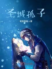 圣城孤子封面