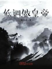 低调做皇帝封面