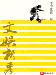 文娱新秀封面