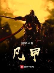 凡甲封面