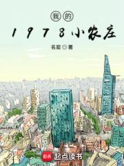 我的1978小农庄封面