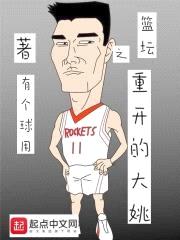 篮坛之重开的大姚封面
