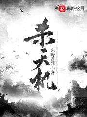 杀天机封面