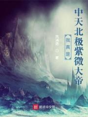 我真是中天北极紫微大帝封面