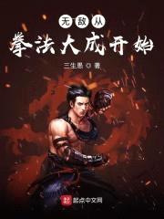 无敌从拳法大成开始封面