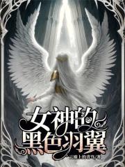女神的黑色羽翼封面