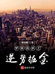 梦泉启帆之逆势掘金封面