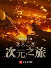 圣武士的次元之旅封面