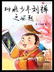 网瘾少年刘禅之崛起封面