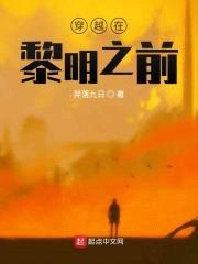 穿越在黎明之前封面