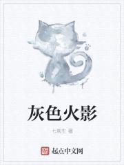 灰色火影封面