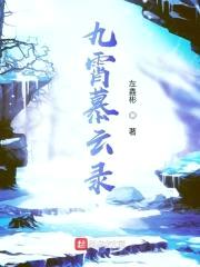 九霄慕云录封面