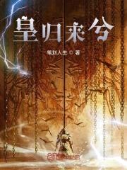 皇归来兮封面